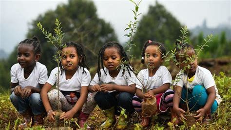  Etchegaye: An Ethiopian Seedling's Journey to Literary Blooms